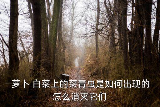  蘿卜 白菜上的菜青蟲是如何出現的怎么消滅它們