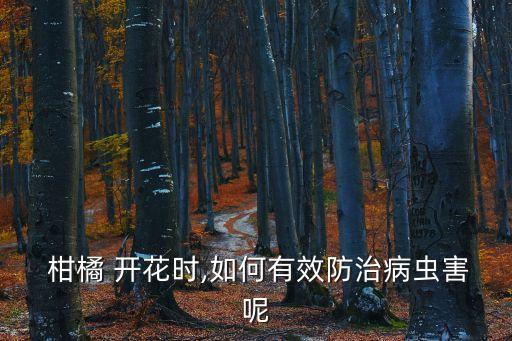  柑橘 開花時,如何有效防治病蟲害呢