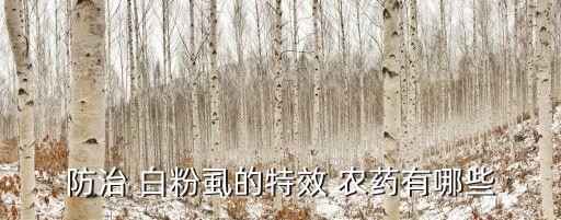 白粉虱用什么農藥噴,殺白粉虱卵效果最好的農藥