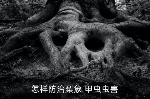 打跳甲蟲什么農藥好,像甲蟲用什么農藥