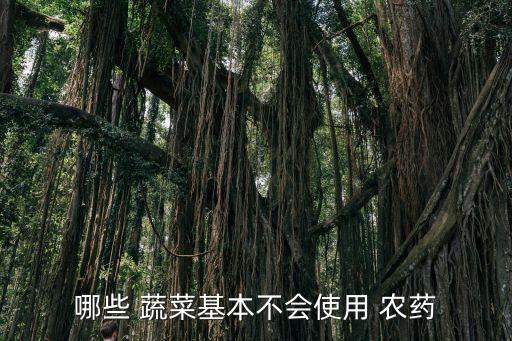 哪些 蔬菜基本不會使用 農藥