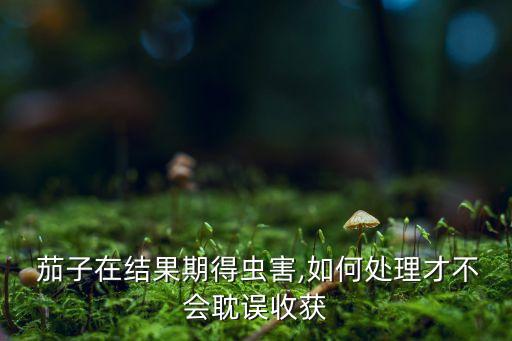 怎么保養茄子用什么農藥,茄子一般打什么農藥