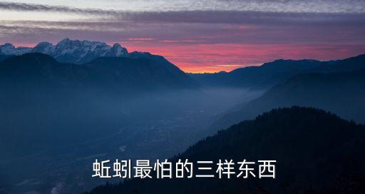 蚯蚓對農藥有什么危害,小孩子玩蚯蚓有什么危害