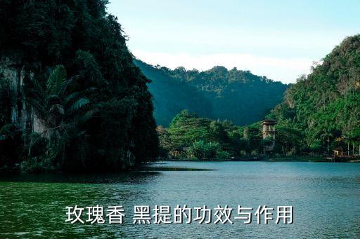 玫瑰香 黑提的功效與作用