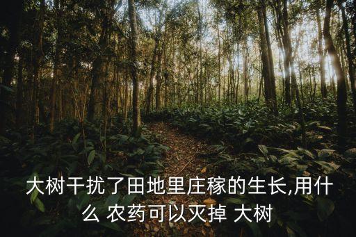 大樹用什么農(nóng)藥能剎死,有沒有什么農(nóng)藥能把大樹打死