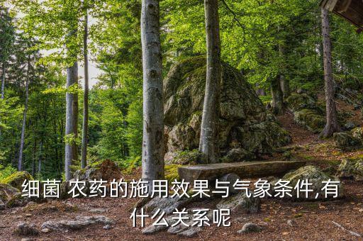 為什么晴天不能打農藥,花期為什么不能打農藥