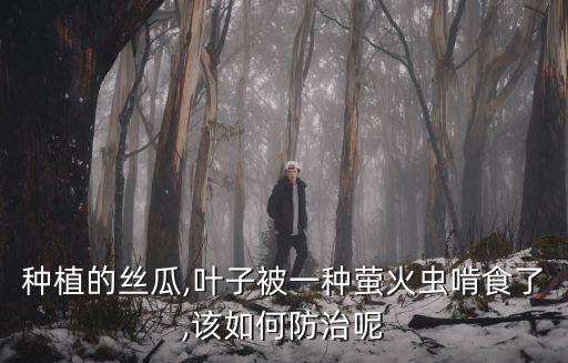 什么農(nóng)藥可以殺死熒火蟲