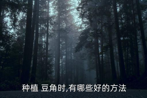 豆角種植需要噴什么農藥,種植豆角的全過程