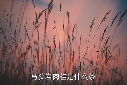 馬頭巖肉桂是什么茶