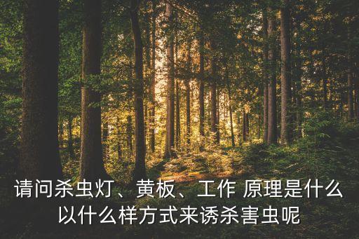 農藥滅蟲的原理是什么,滅蟲寧滴劑原理是什么