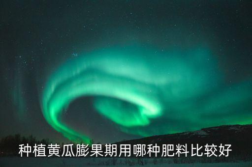 種植黃瓜膨果期用哪種肥料比較好