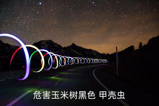 危害玉米樹黑色 甲殼蟲