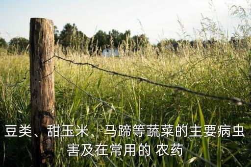 豆類、甜玉米、馬蹄等蔬菜的主要病蟲害及在常用的 農(nóng)藥