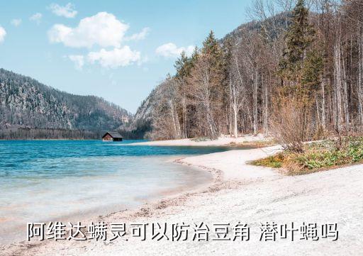 美洲潛葉蠅打什么農(nóng)藥,殺潛葉蠅用什么農(nóng)藥