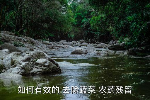 如何有效的 去除蔬菜 農藥殘留