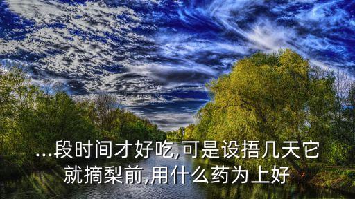 梨花花后用什么農(nóng)藥,一片片梨花花好像什么