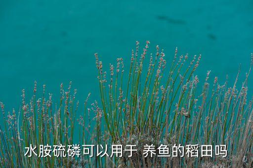 ,養魚主要預防什么農藥中毒