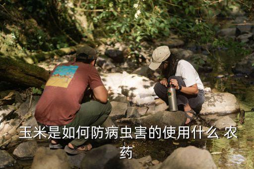 玉米種子拌什么農(nóng)藥好些,拌了農(nóng)藥的玉米種子吃了會(huì)怎么樣
