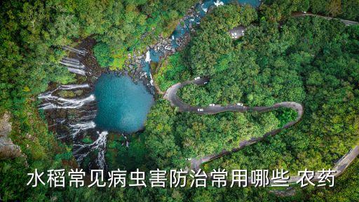 什么農(nóng)藥對水稻傷害最大,水稻矮化用什么農(nóng)藥