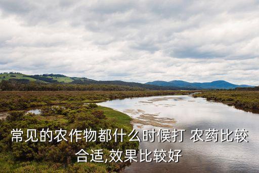 常見的農作物都什么時候打 農藥比較合適,效果比較好