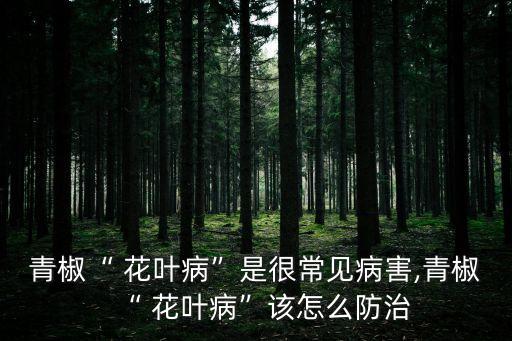 青椒“ 花葉病”是很常見病害,青椒“ 花葉病”該怎么防治