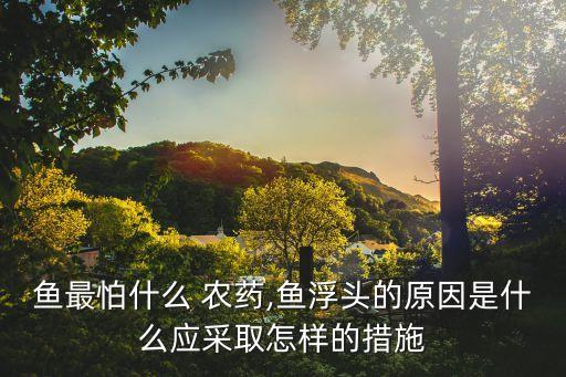 魚最怕什么 農藥,魚浮頭的原因是什么應采取怎樣的措施