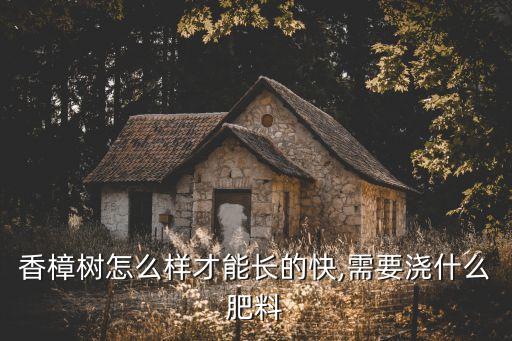 香樟樹怎么樣才能長的快,需要澆什么肥料