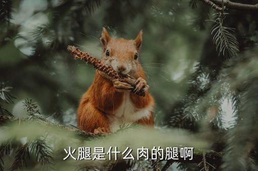hamno是什么農藥,666粉是什么農藥