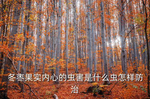  冬棗果實內心的蟲害是什么蟲怎樣防治
