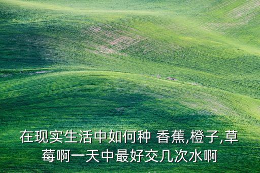 在現實生活中如何種 香蕉,橙子,草莓啊一天中最好交幾次水啊