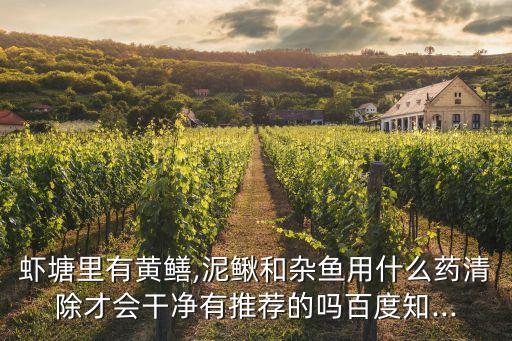 蝦塘里有黃鱔,泥鰍和雜魚用什么藥清除才會干凈有推薦的嗎百度知...