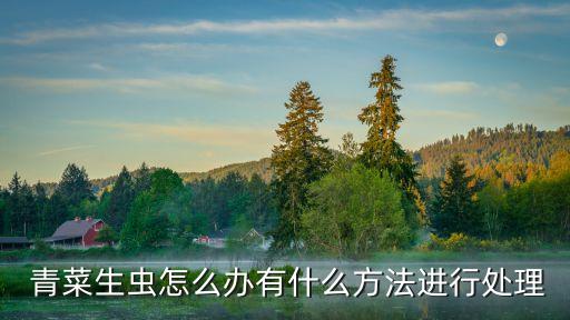 青菜灑什么農藥去蟲好,青菜一般打什么農藥