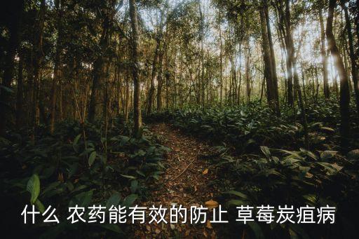 什么 農(nóng)藥能有效的防止 草莓炭疽病