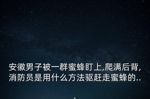安徽男子被一群蜜蜂盯上,爬滿后背,消防員是用什么方法驅趕走蜜蜂的...