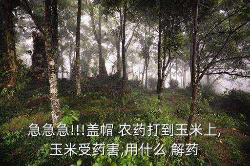 農(nóng)藥用什么解藥,農(nóng)藥莠去津有能解藥嗎