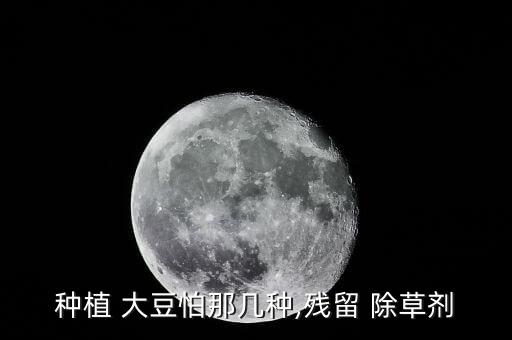 大豆用什么農藥除草劑,大豆打什么農藥最好