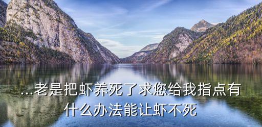 什么農藥蝦不死,什么蝦300度不死