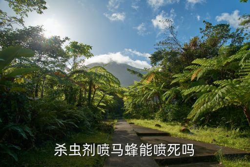 打黃蜂用什么農藥最好用,一般什么時間打農藥最好