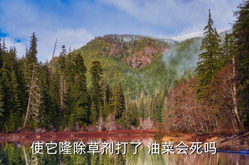 油菜落花后用什么農(nóng)藥,油菜打什么農(nóng)藥最好