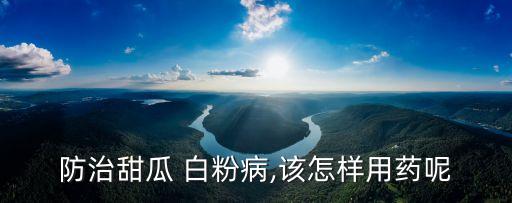 瓜果白粉病用什么農藥,白粉病打什么農藥