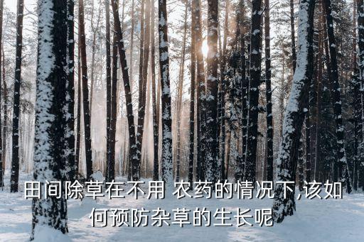 田間除草在不用 農藥的情況下,該如何預防雜草的生長呢