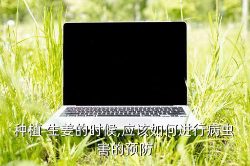 種植 生姜的時候,應該如何進行病蟲害的預防