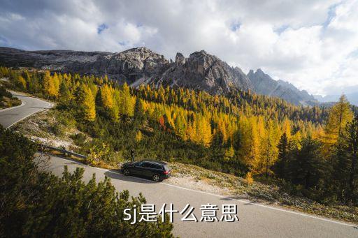  sj是什么意思