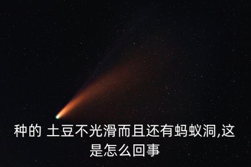 種的 土豆不光滑而且還有螞蟻洞,這是怎么回事