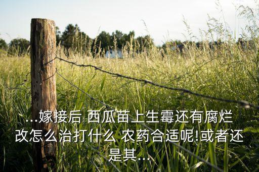 ,西瓜種子催芽后用什么農藥