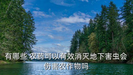 什么殺蟲農藥觸殺最好,向日葵用什么農藥殺蟲
