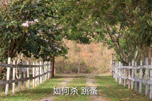 殺跳蚤蟲卵用什么農藥最好,什么農藥能殺跳蚤