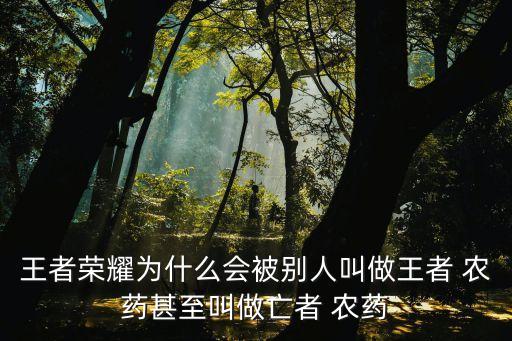 王者榮耀為什么會被別人叫做王者 農藥甚至叫做亡者 農藥