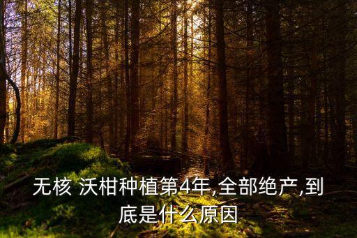 打什么農藥沃柑才沒有籽,沃柑用什么農藥最好