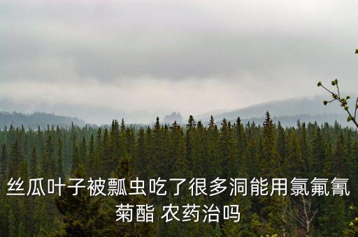 絲瓜葉子被瓢蟲吃了很多洞能用氯氟氰菊酯 農藥治嗎